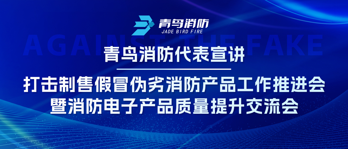 千亿国际代表宣讲&mdash;&mdash;攻击制售冒充伪劣消防产品事情推进会暨消防电子产品质量提升交流会
