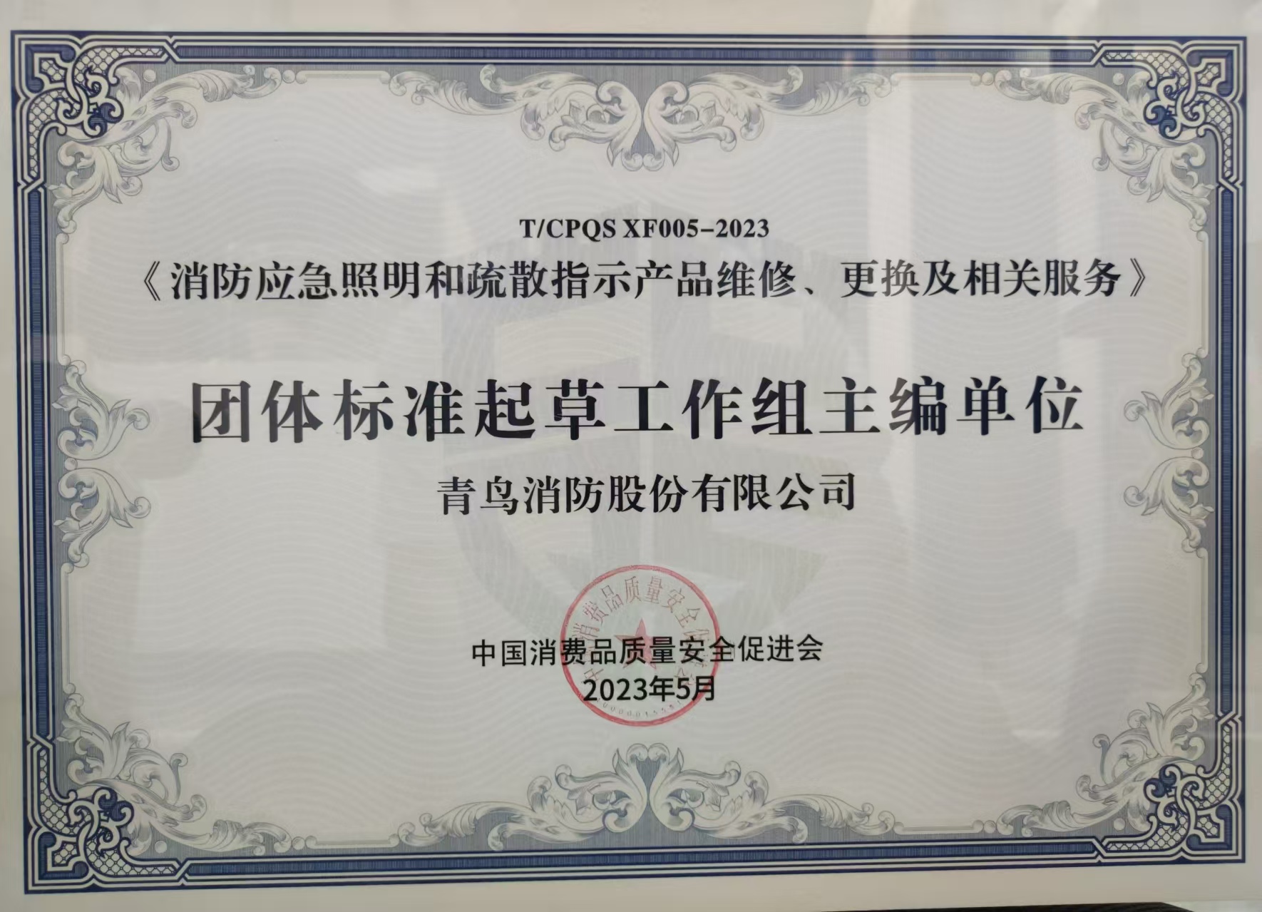 整体标准起草事情组主编单位